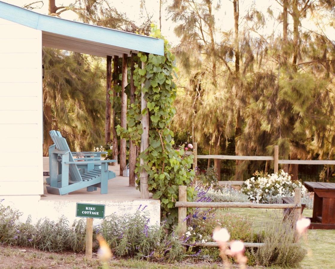 Cheverells Farm Grabouw Exteriör bild