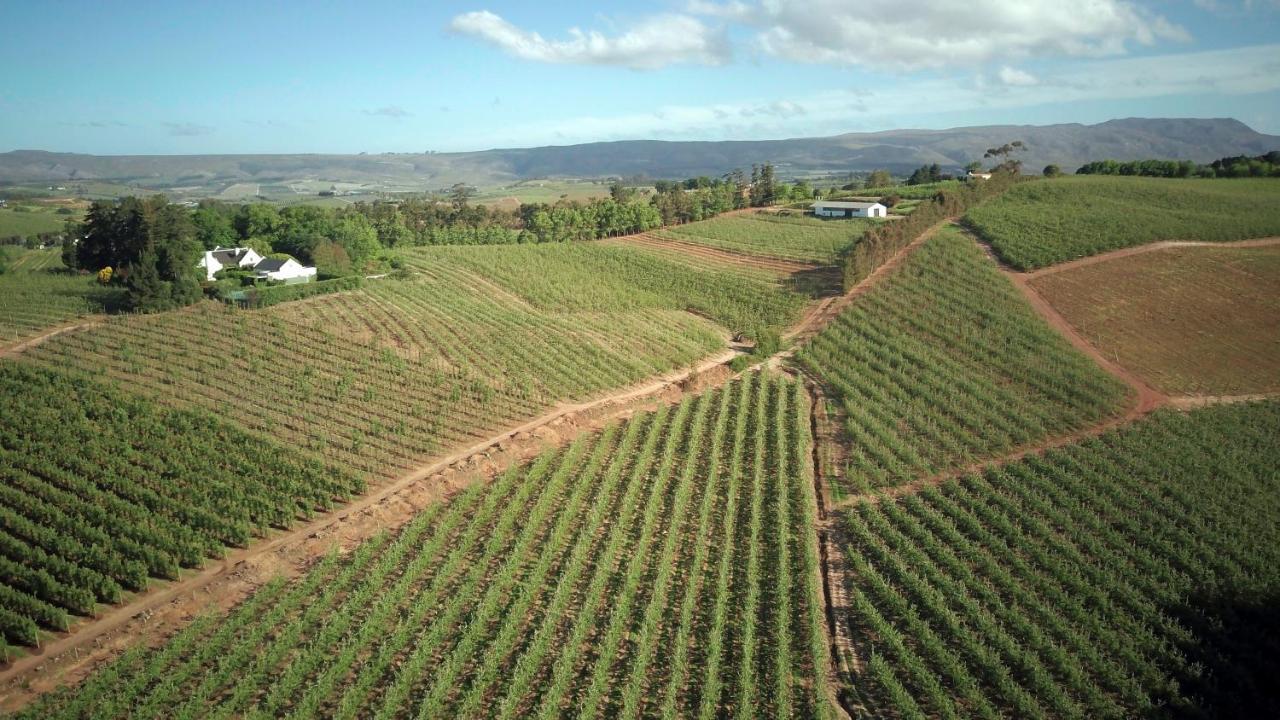 Cheverells Farm Grabouw Exteriör bild