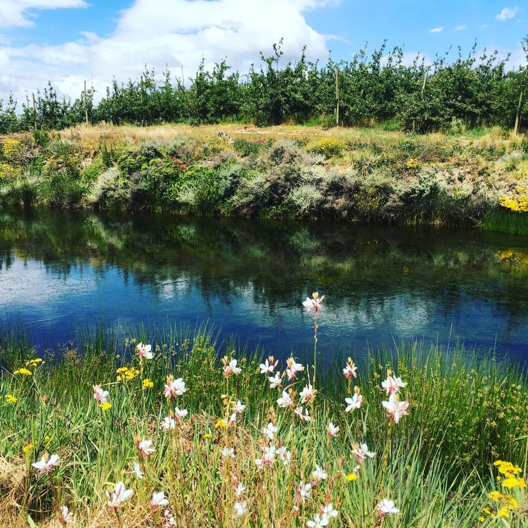 Cheverells Farm Grabouw Exteriör bild