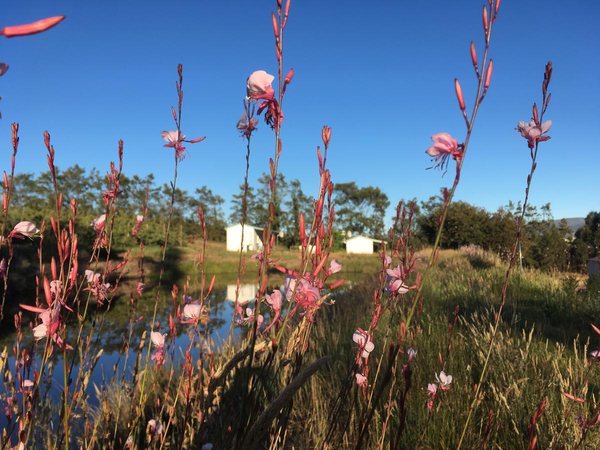 Cheverells Farm Grabouw Exteriör bild